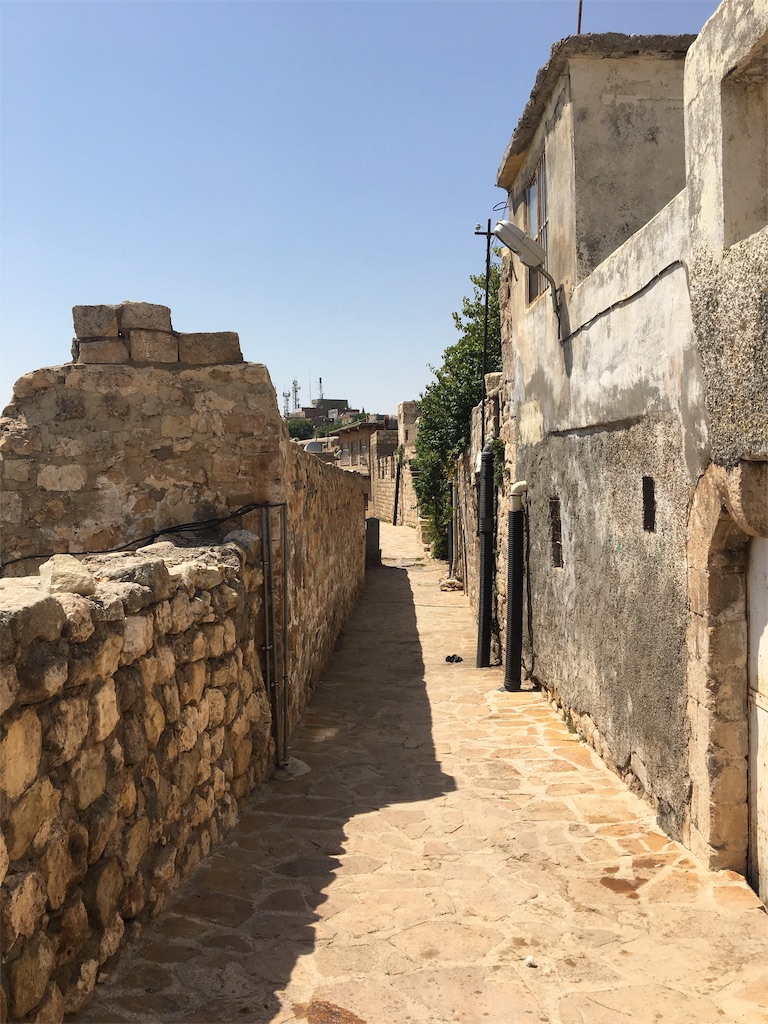 f:id:apoptosis777:20190906175321j:image
