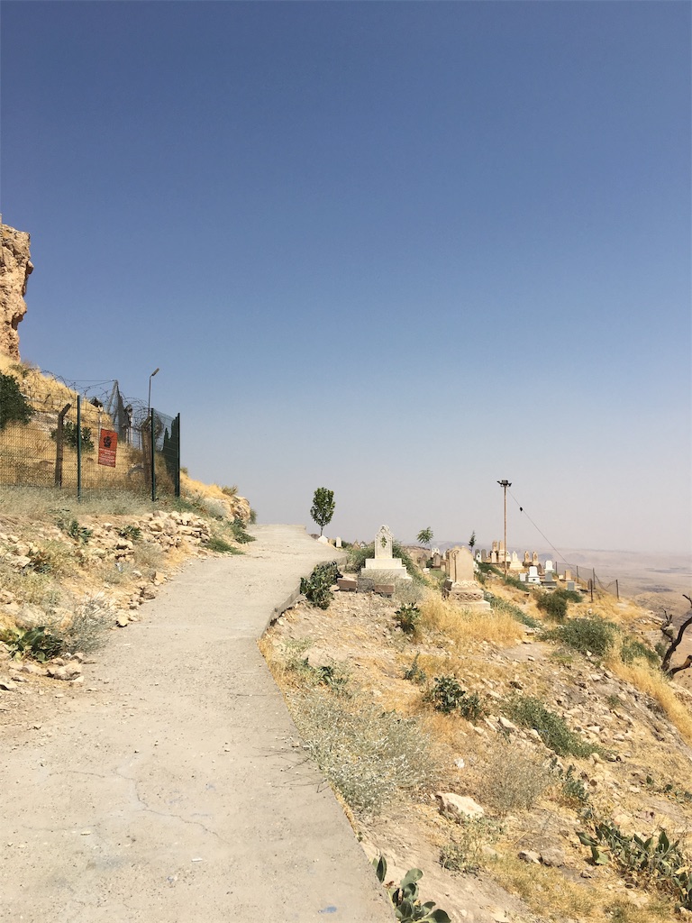 f:id:apoptosis777:20190906180255j:image