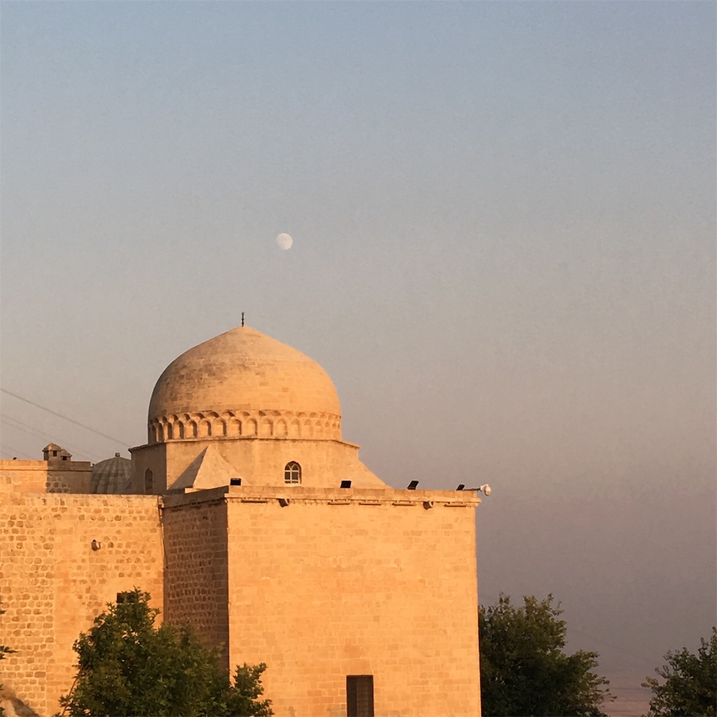 f:id:apoptosis777:20190906180533j:image