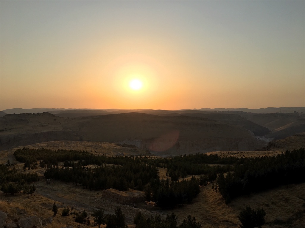 f:id:apoptosis777:20190906180537j:image