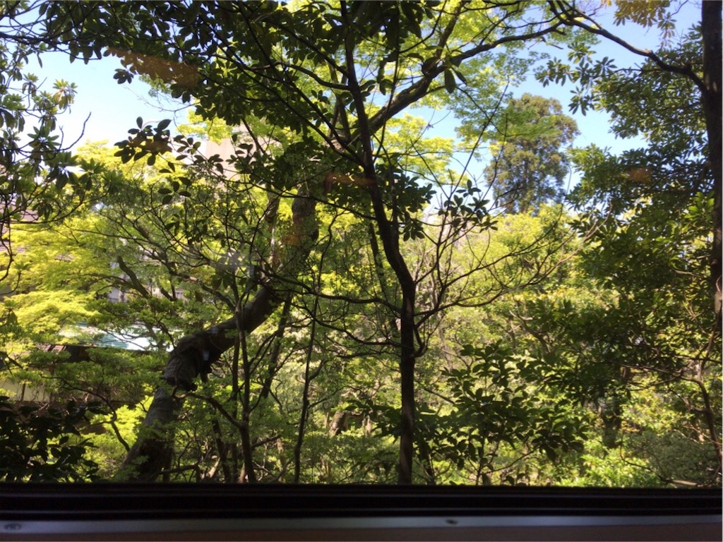 f:id:aporon2:20190504120659j:image