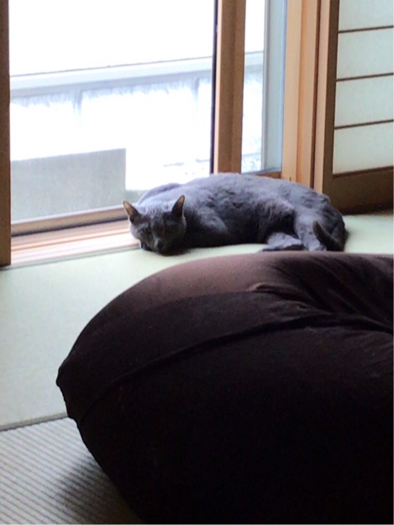 f:id:aporon2:20190713185652j:image