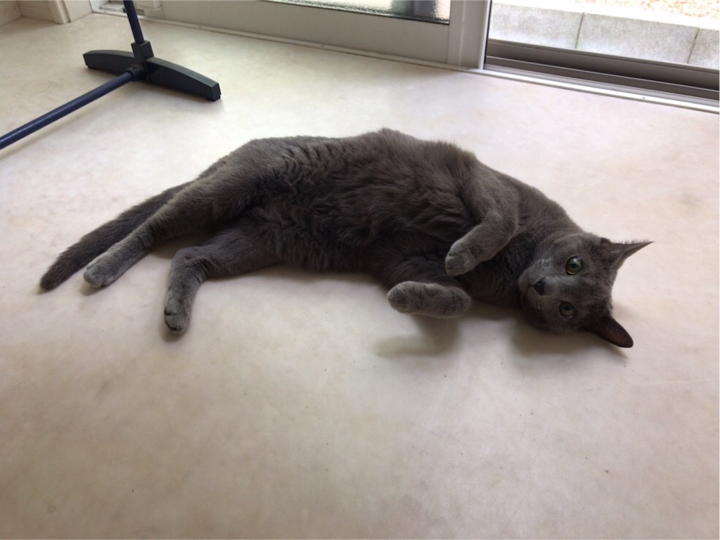 f:id:aporon2:20190713185717j:image