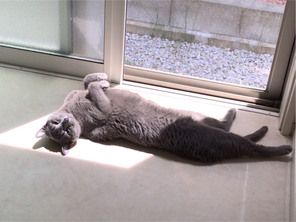 f:id:aporon2:20190713185738j:image