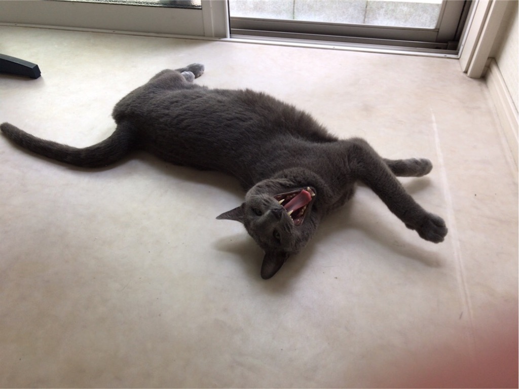 f:id:aporon2:20190713185817j:image