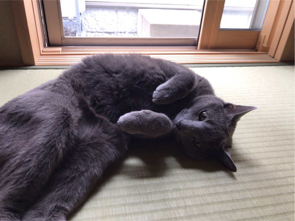 f:id:aporon2:20190713185848j:image