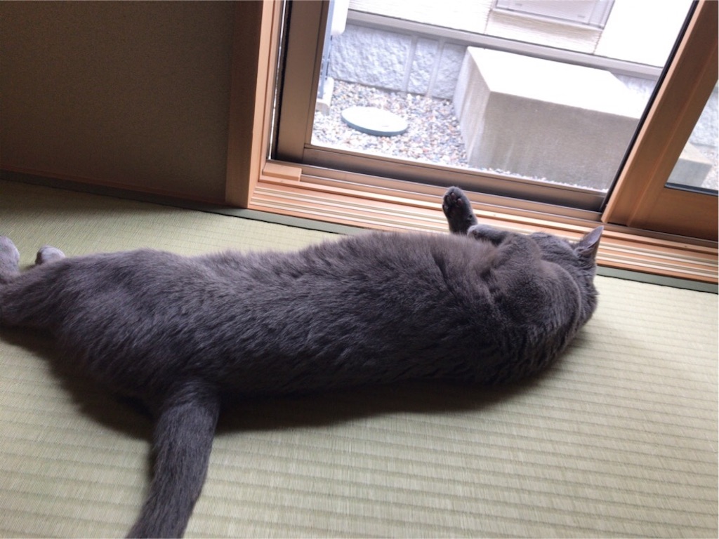 f:id:aporon2:20190713185901j:image