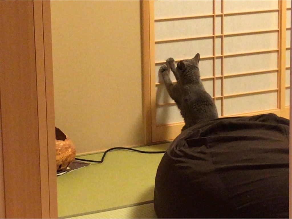 f:id:aporon2:20190713191855j:image