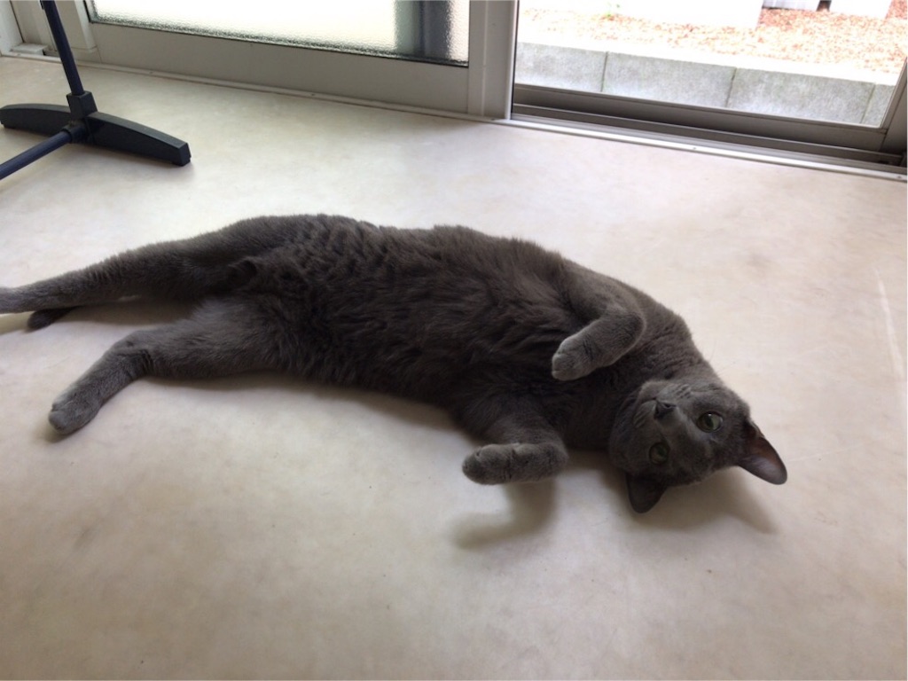 f:id:aporon2:20190721161729j:image