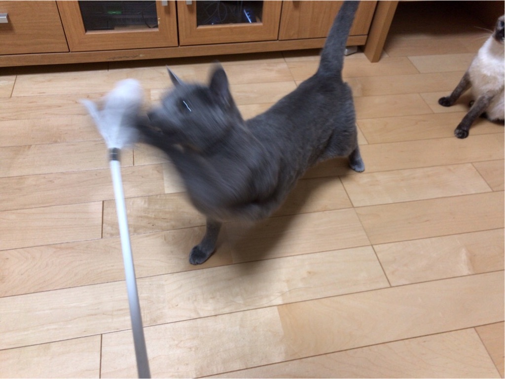 f:id:aporon2:20190825162458j:image