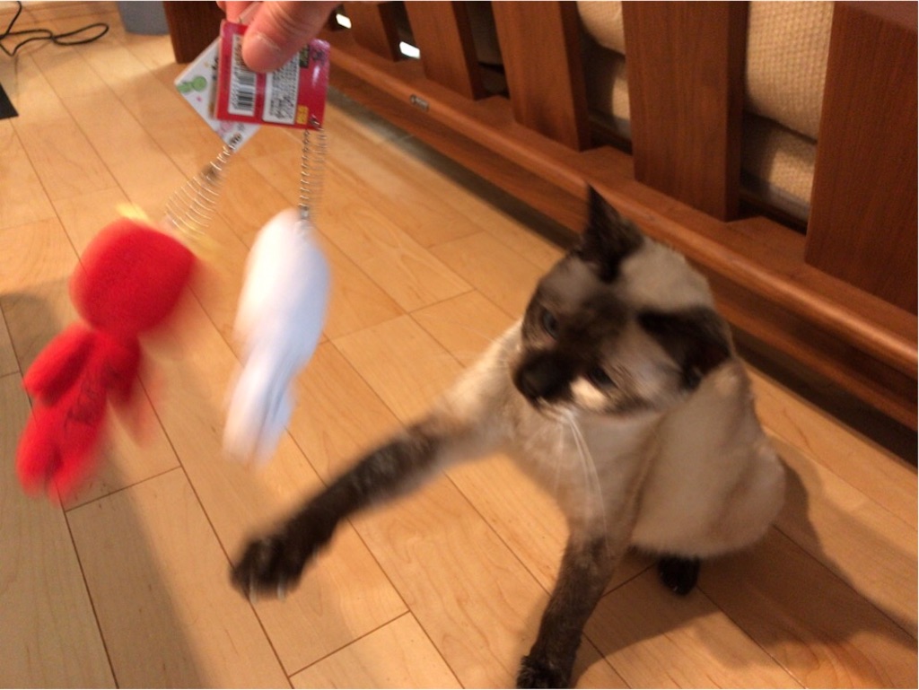 f:id:aporon2:20190909105025j:image