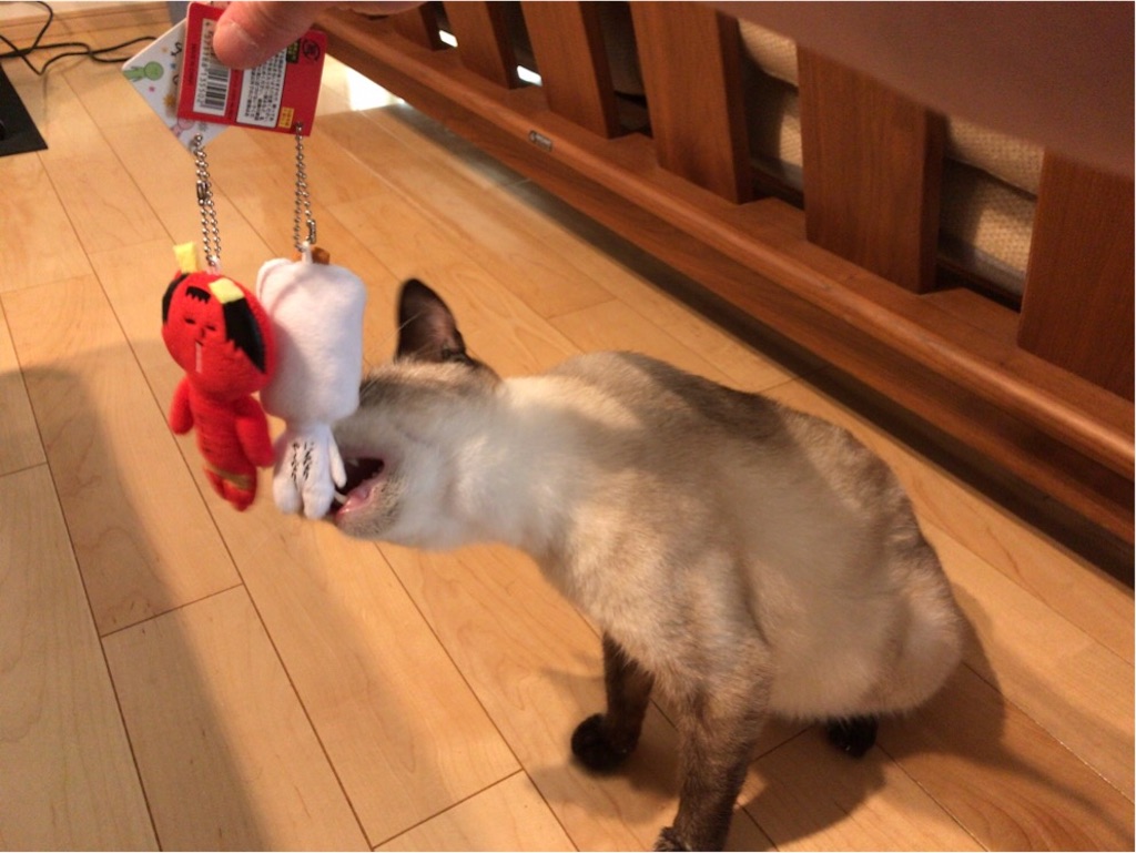 f:id:aporon2:20190909105037j:image