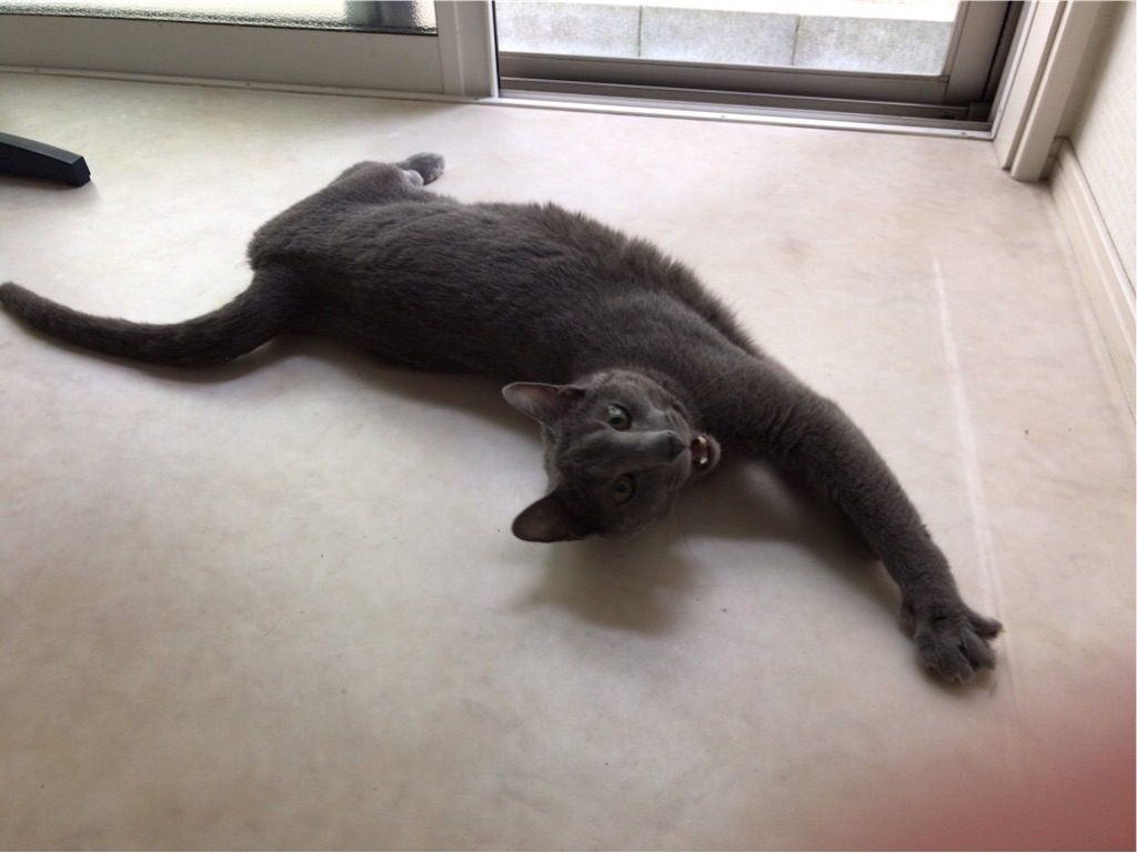 f:id:aporon2:20190913130219j:image