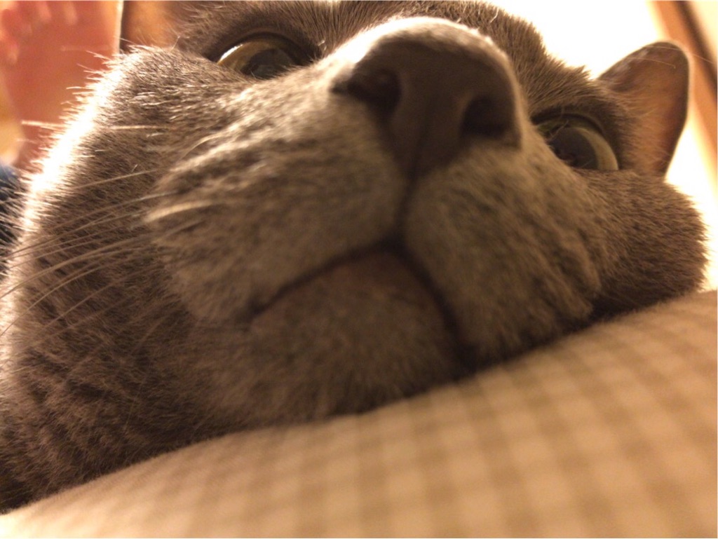 f:id:aporon2:20190913130434j:image