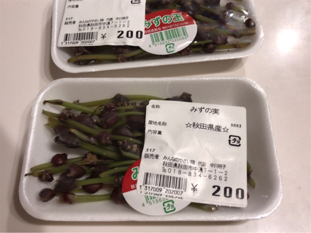 ミズノミとフシッコ - あぽろんのつぶやき