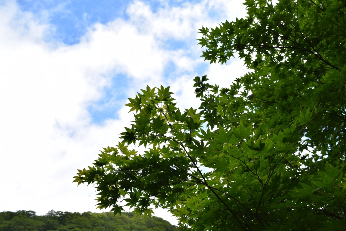 f:id:aporon2:20190923153117j:plain f:id:aporon2:20190923153117j:plain