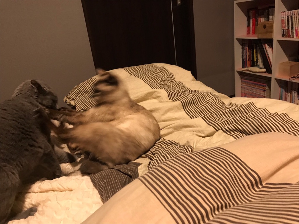 f:id:aporon2:20190928124135j:image