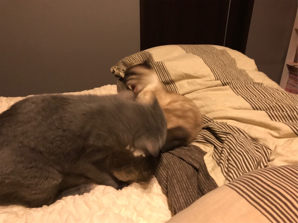 f:id:aporon2:20190928124146j:image