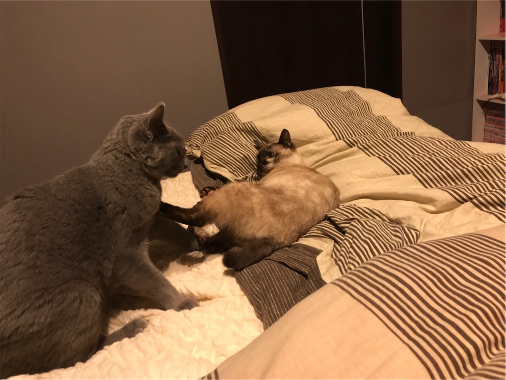 f:id:aporon2:20190930121653j:image