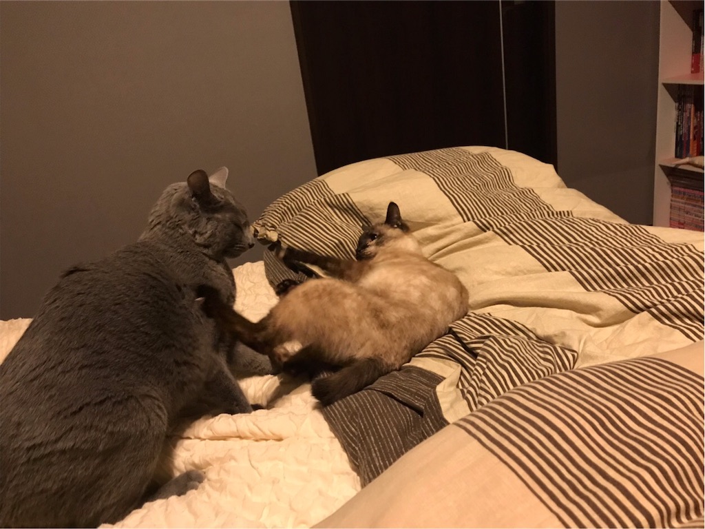 f:id:aporon2:20190930121709j:image