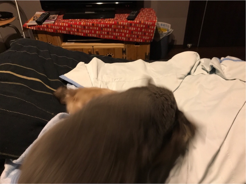 f:id:aporon2:20190930122954j:image