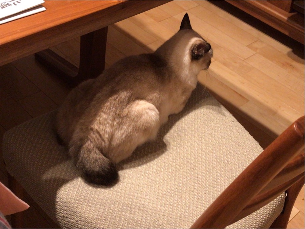 f:id:aporon2:20191126212939j:image