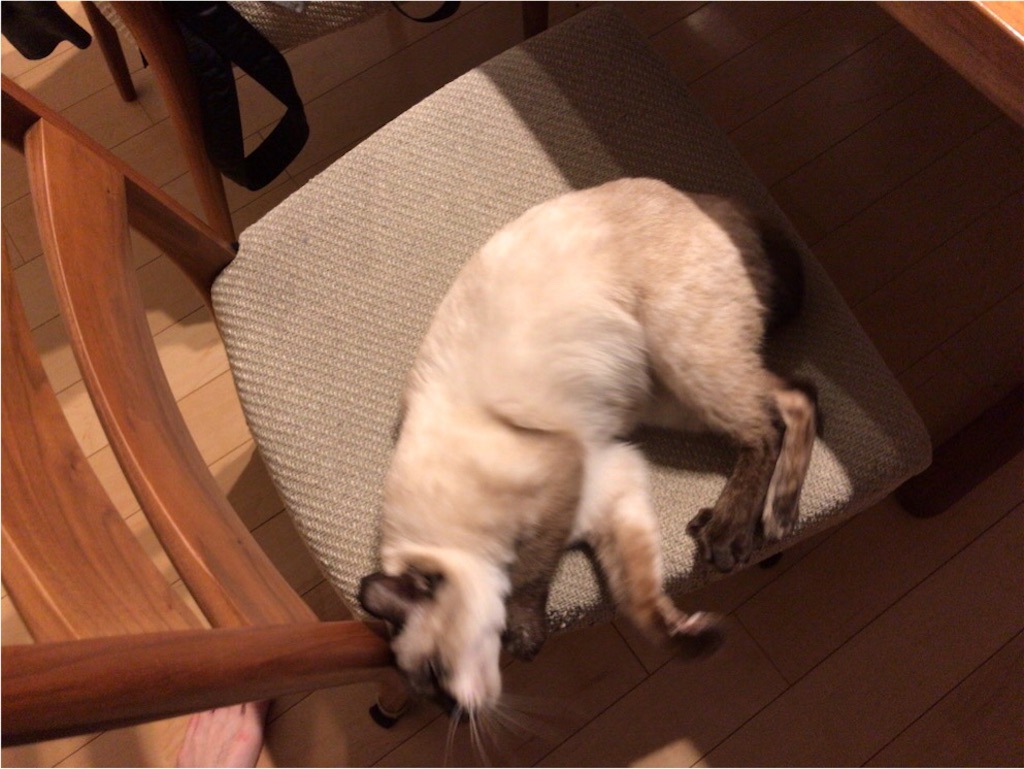 f:id:aporon2:20191126212953j:image