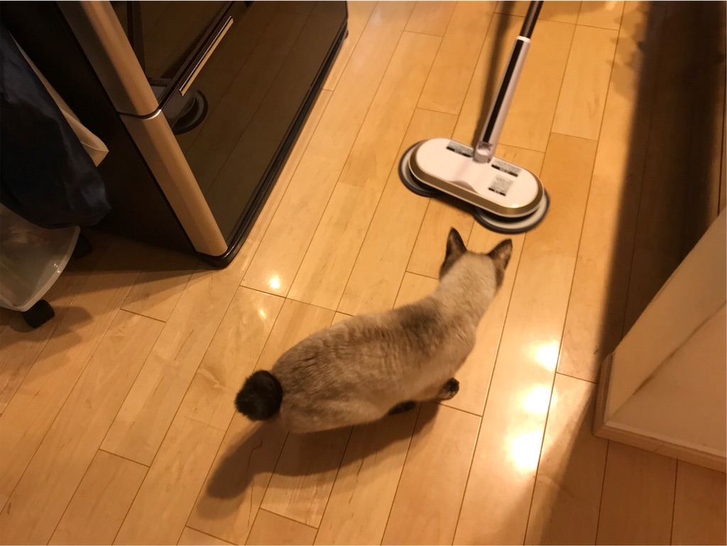 f:id:aporon2:20200101222047j:image