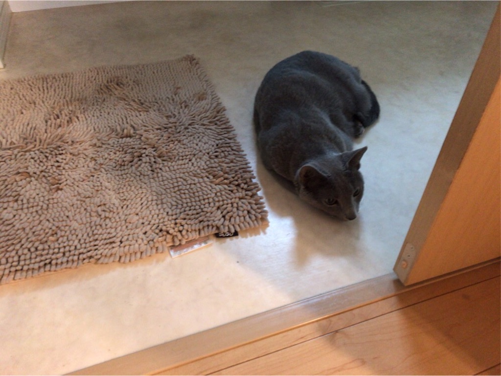 f:id:aporon2:20200101222050j:image