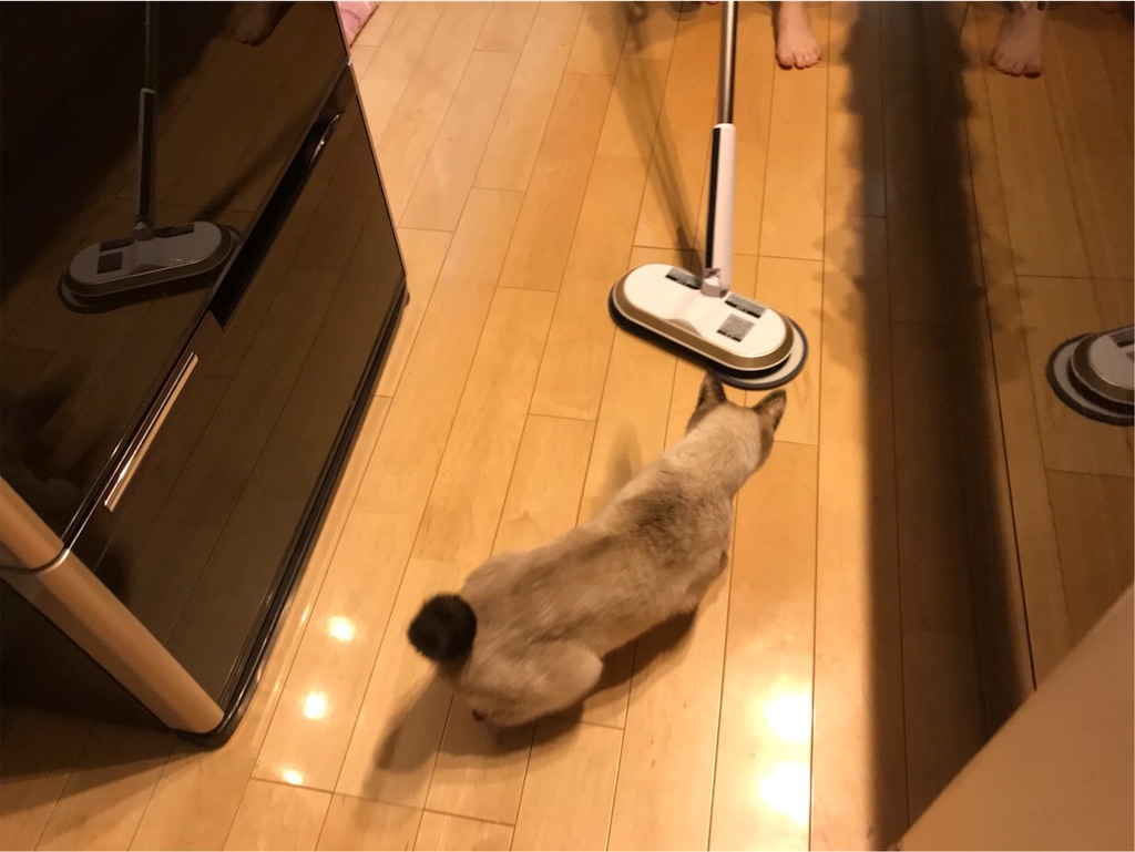 f:id:aporon2:20200101222056j:image