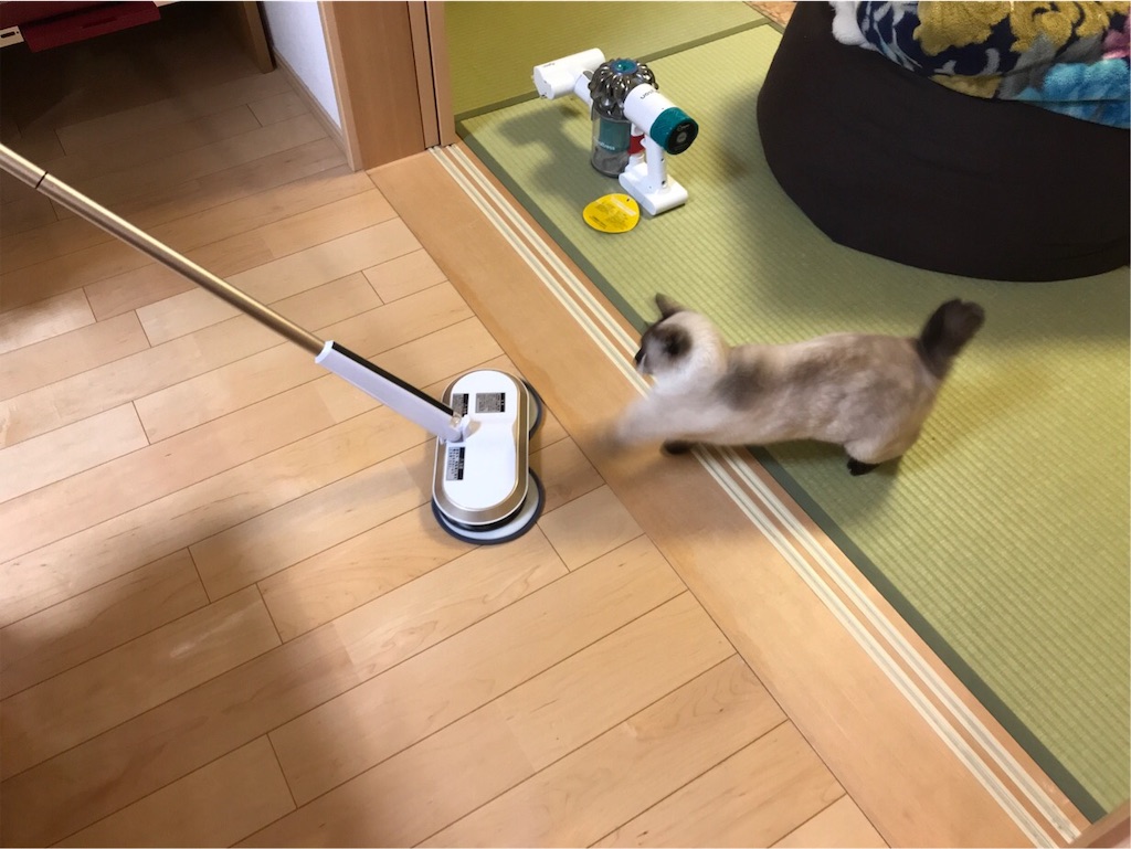 f:id:aporon2:20200101222107j:image