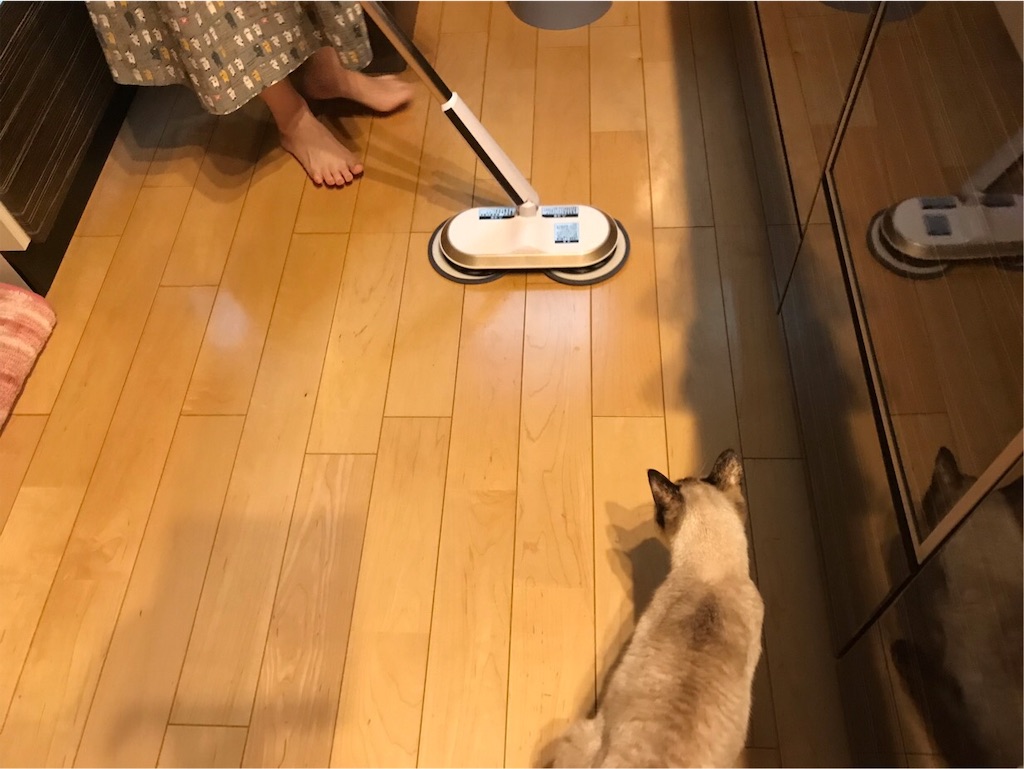 f:id:aporon2:20200101222113j:image