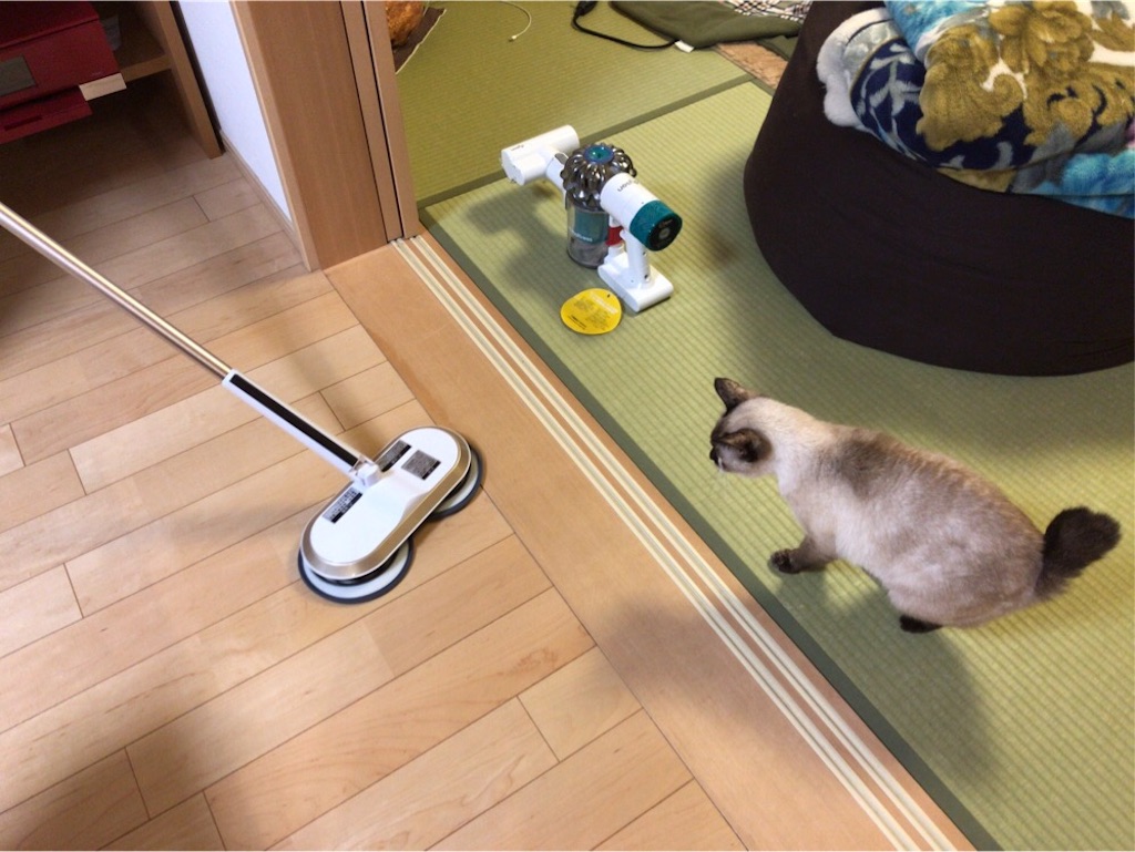 f:id:aporon2:20200101222116j:image