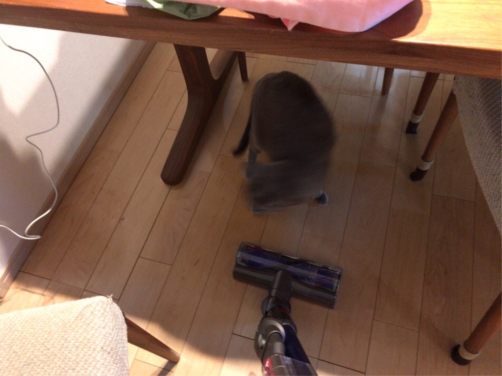 f:id:aporon2:20200101222326j:image