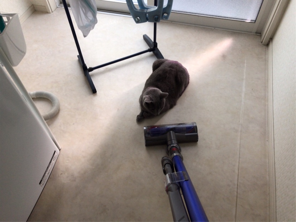 f:id:aporon2:20200101222329j:image