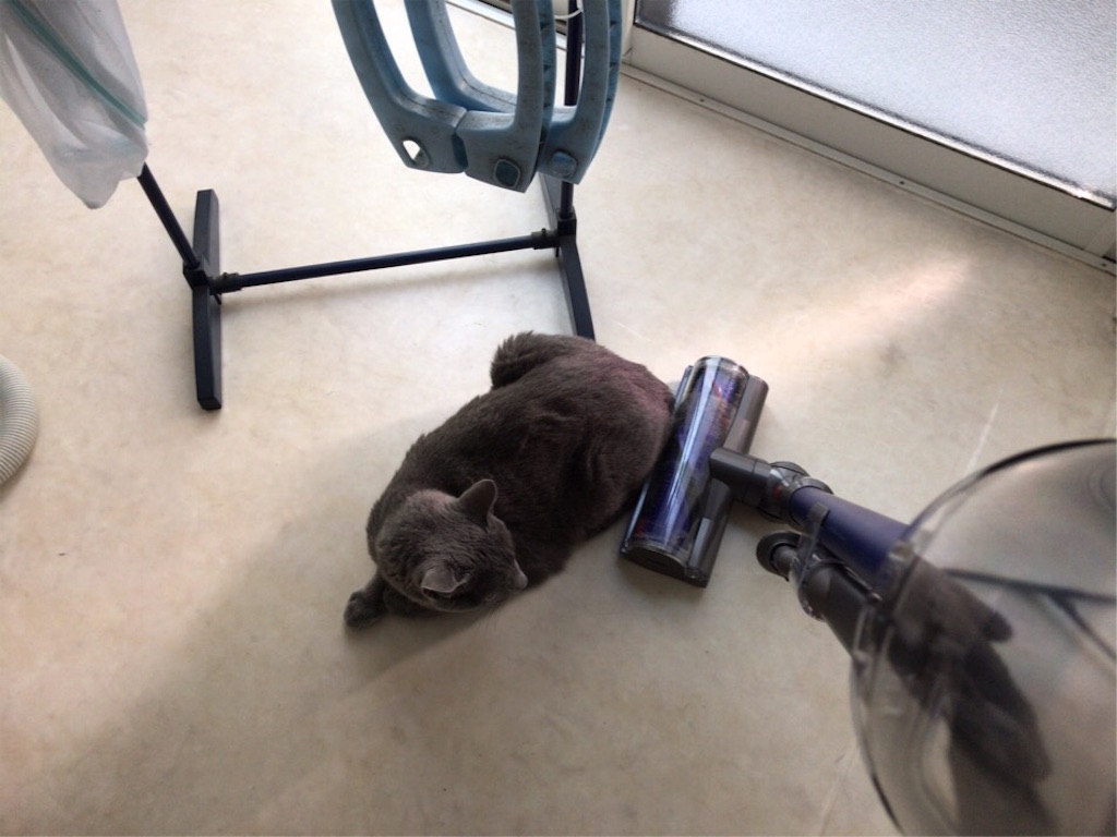 f:id:aporon2:20200101222332j:image