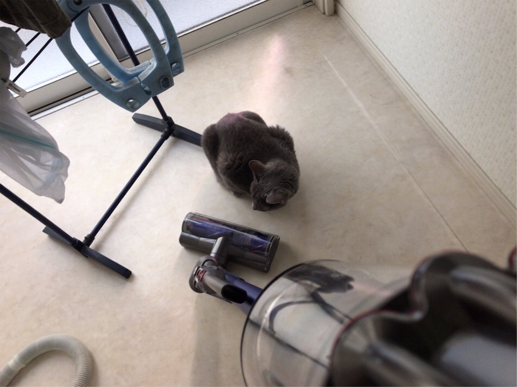 f:id:aporon2:20200101222339j:image