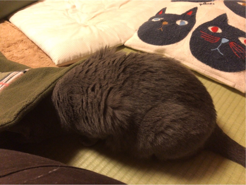 f:id:aporon2:20200101223809j:image