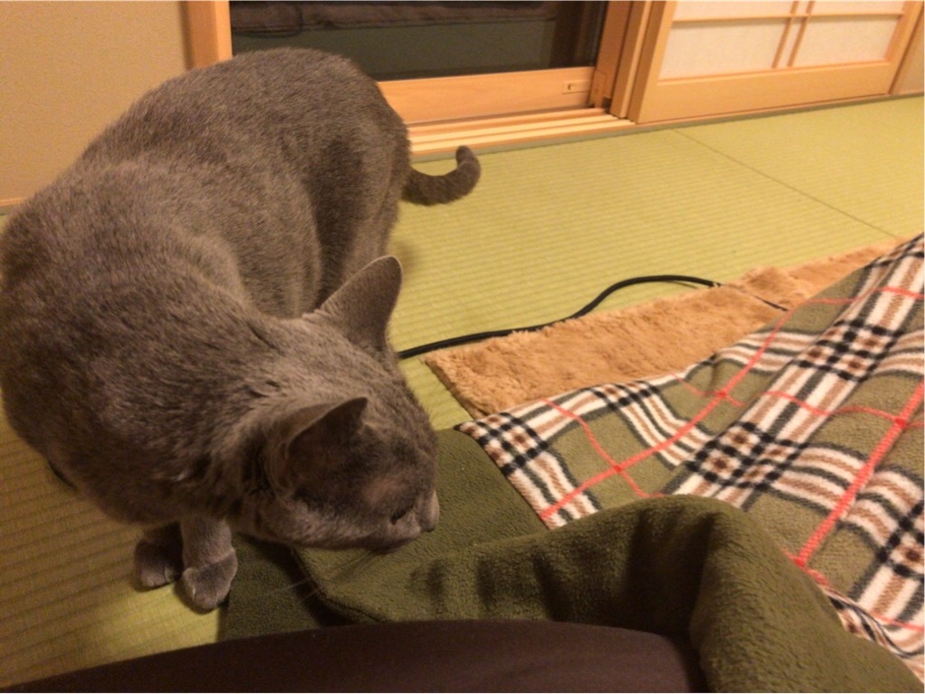 f:id:aporon2:20200101223815j:image