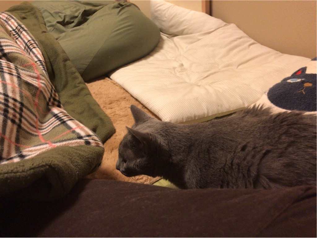 f:id:aporon2:20200101223819j:image