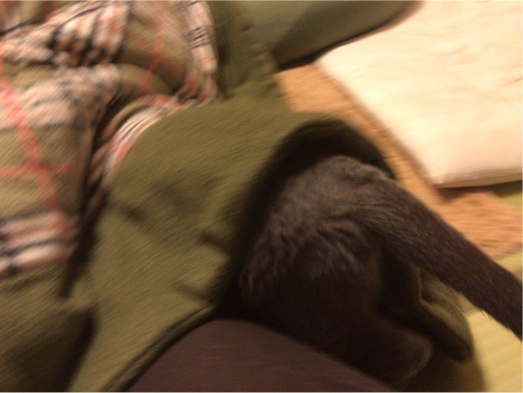 f:id:aporon2:20200101223822j:image