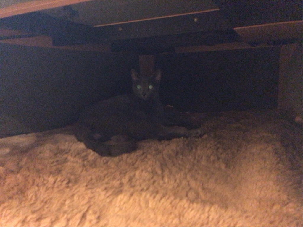 f:id:aporon2:20200102091841j:image