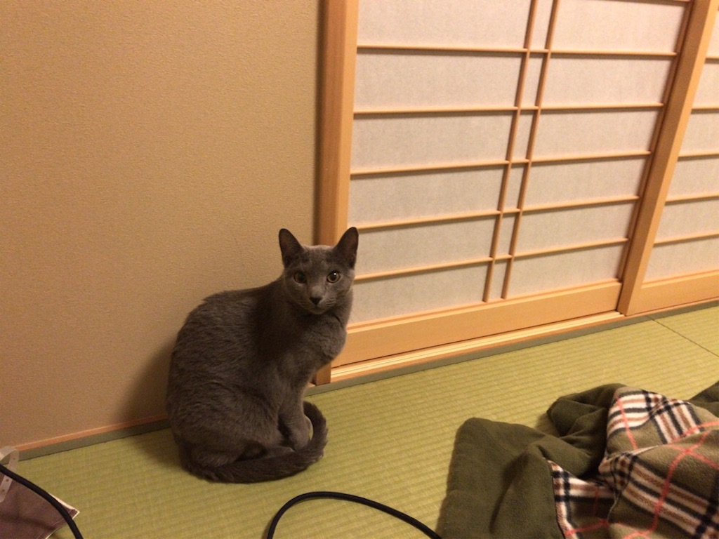 f:id:aporon2:20200209205348j:image