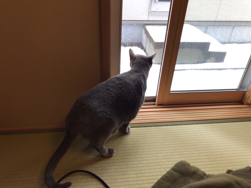 f:id:aporon2:20200209205354j:image