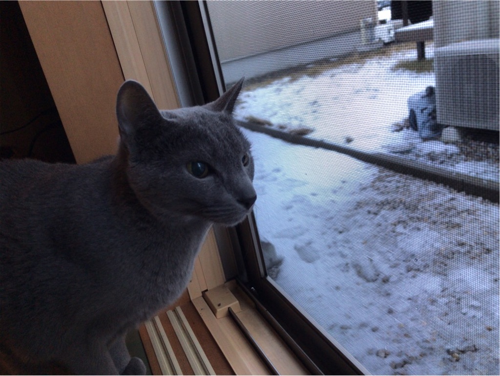 f:id:aporon2:20200221124636j:image