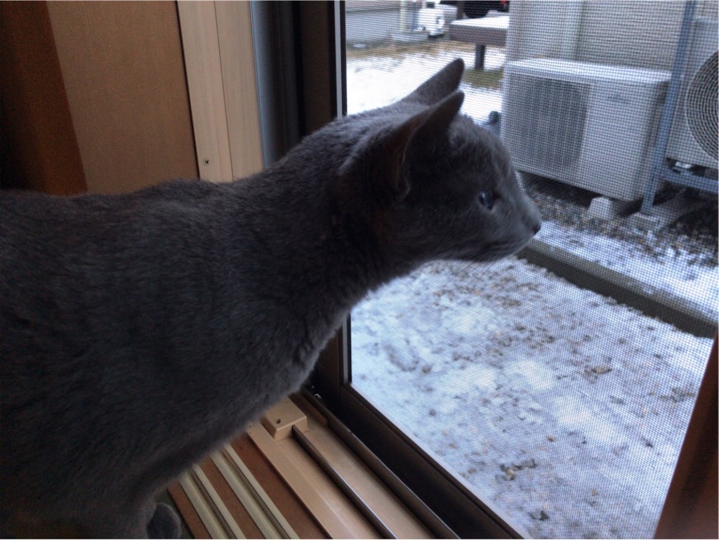 f:id:aporon2:20200221124652j:image