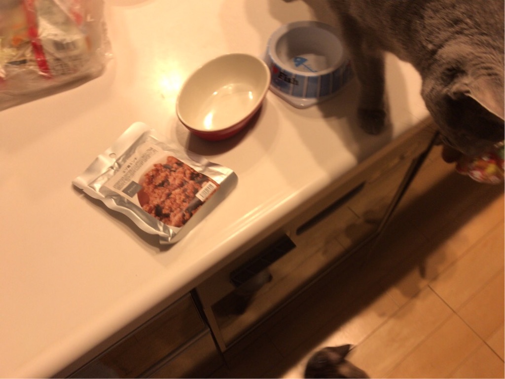 f:id:aporon2:20200306200317j:image