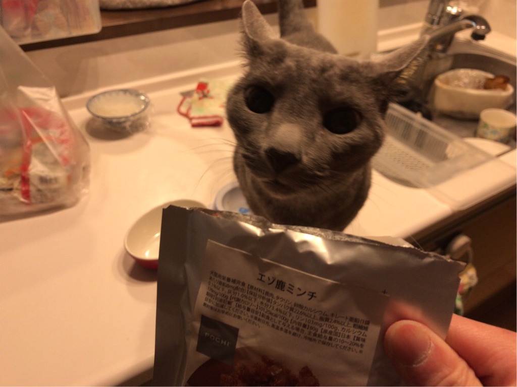 f:id:aporon2:20200306200341j:image