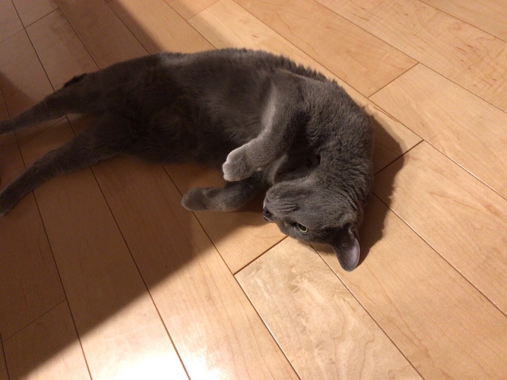 f:id:aporon2:20200329190649j:image