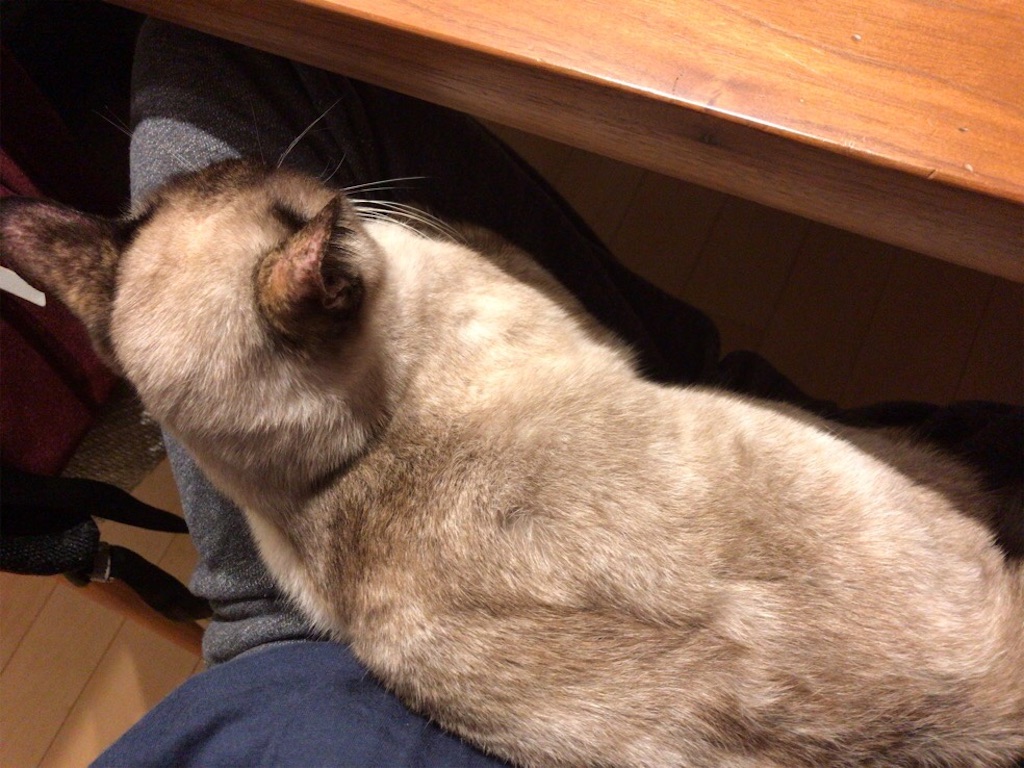 f:id:aporon2:20200329190658j:image